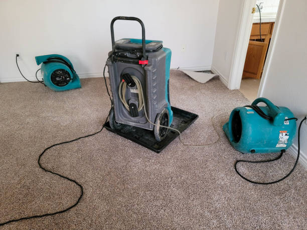 Best Fire Damage Restoration  in Winfield, IL