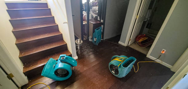 Best Flood damage cleanup  in Winfield, IL