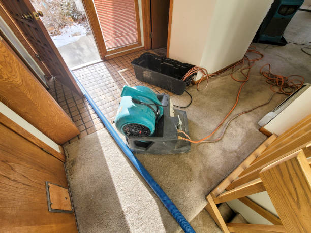 Best Basement water damage restoration  in Winfield, IL