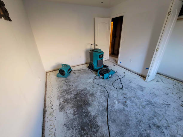 Best Flood restoration services  in Winfield, IL