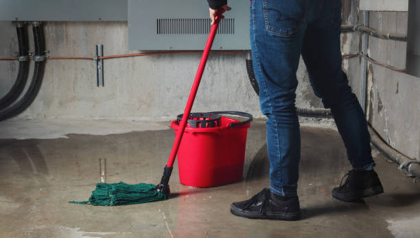 Best Local water damage restoration  in Winfield, IL