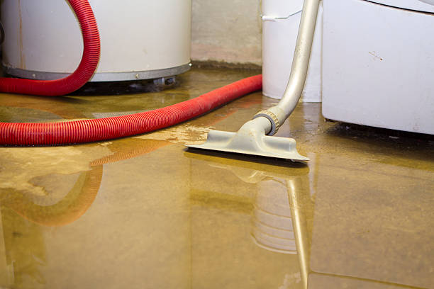 Best Flood damage cleanup  in Winfield, IL